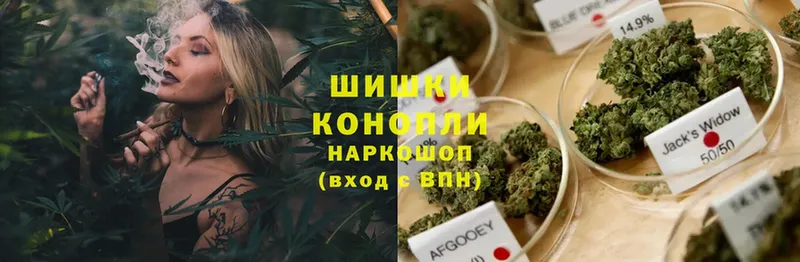 Бошки марихуана THC 21%  где купить наркотик  Шуя 